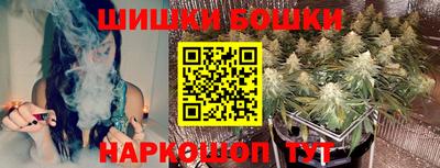 тгк Новодвинск