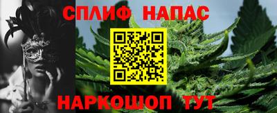 тгк Новодвинск