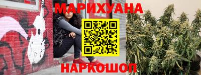 тгк Новодвинск