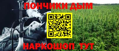 гашик Новокубанск