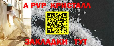тгк Новодвинск